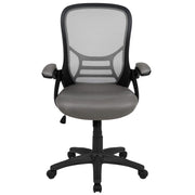 Flash Furniture Light Gray / Set of 1 / Contemporary Home Office Desk Chairs