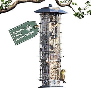 Perky-Pet Squirrel-Be-Gone Bird Feeder, 2 lb Seed Capacity | Weight-Activated Squirrel Proof Bird Feeder, Wild Bird Feeder for Outdoors with U-Shaped Perches and Clear Seed Reservoir