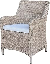 IC INTERNATIONAL CONCEPTS, Outdoor Wicker Patio Dining Chair with Cushion, Powder Coated Aluminium Frame, 24" W x 24" D x 35" H, 225 Lbs Wt. Capacity, Fully Assembled, Natural