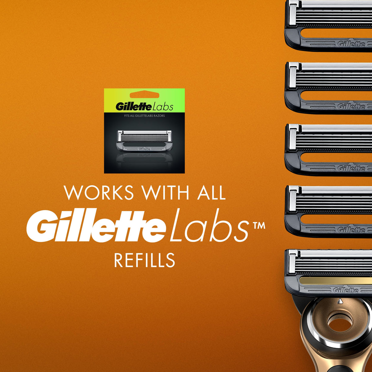 Gillette Gold Heated Razor Kit / 1 Count (Pack of 1) / N/A Cartridge Razors