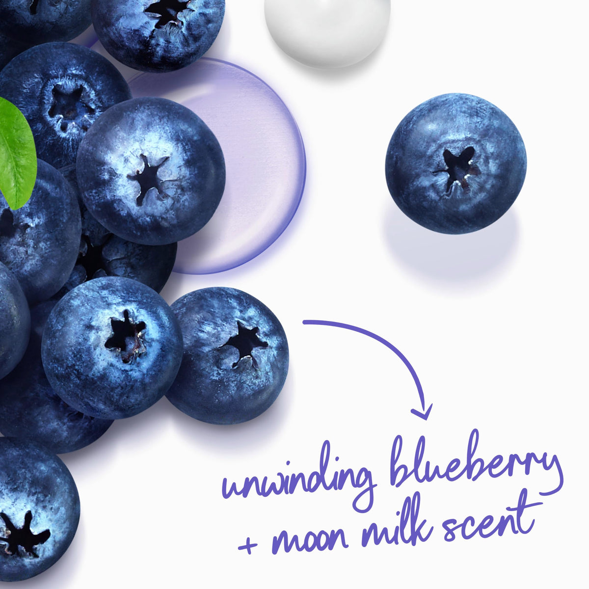 Dove 30.6 Fl Oz (Pack of 3) / Blueberry / Azul Body Washes