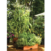 Organic Terra Cotta Kit by EarthBox – 20.96 gallons, Plastic, Terra Cotta, Pack of 2, Model 80155