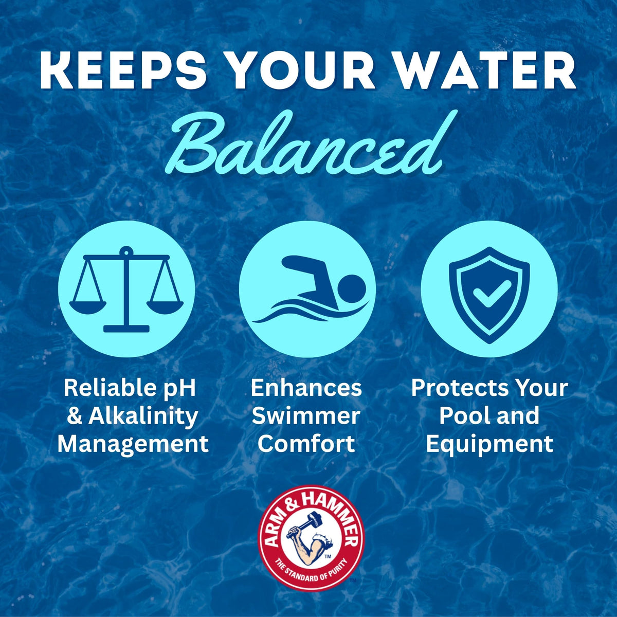 pH Boost Professional Pool Care by Arm & Hammer – Pack of 6, Model 033200150015
