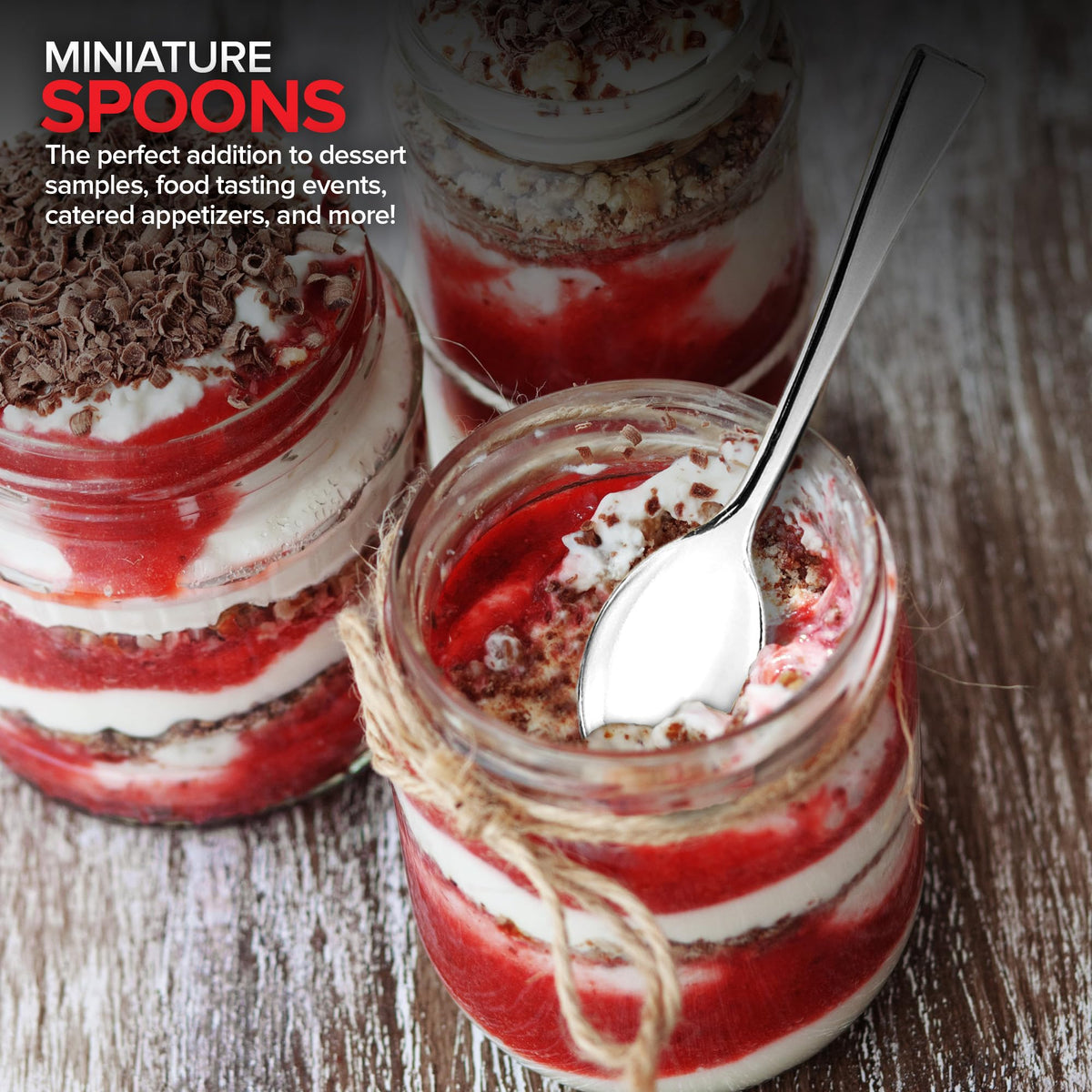 Stock Your Home Mini Spoon / Silver / 1 Dessert Spoons