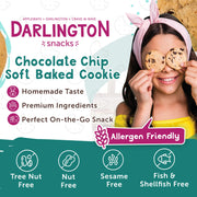 Darlington Snacks Chocolate Chip (Original) / 0.75 Ounce (Pack of 216) / brown Chocolate Chip