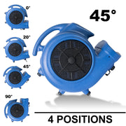 XPOWER Medium / Pro X-800TF / Blue Floor Fans