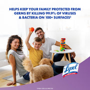 Disinfecting Wipes by Lysol – 80 Count (Pack of 1), Purple, Model 3296590