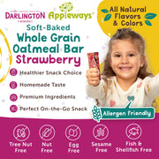 Strawberry Oatmeal Bars by Appleways – 1.2 Ounce (216 Count), Pack of 216, Model 70400