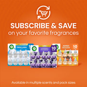 Plug-In Scented Oil Refills by Air Wick – 10 Count (Pack of 1), Multicolor, Pack of 10
