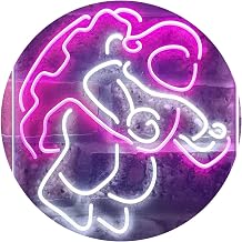ADVPRO Astronaut Spaceman Outer Space Beer Dual Color LED Neon Sign White & Purple 16" x 24" st6s46-i3288-wp