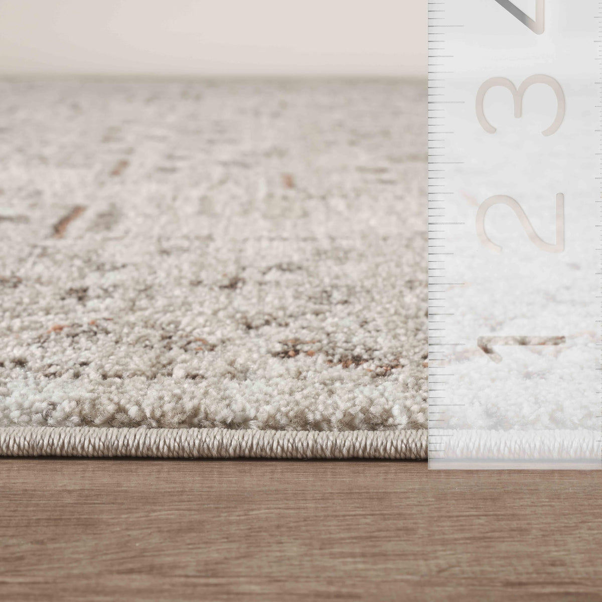 Abani Beige / 5' x 8' (Rectangular) / Oriental & Vintage Area Rugs