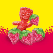 Sour Patch Kids Strawberry / 3.5 Ounce (Pack of 12) / 1 Gummy Candy