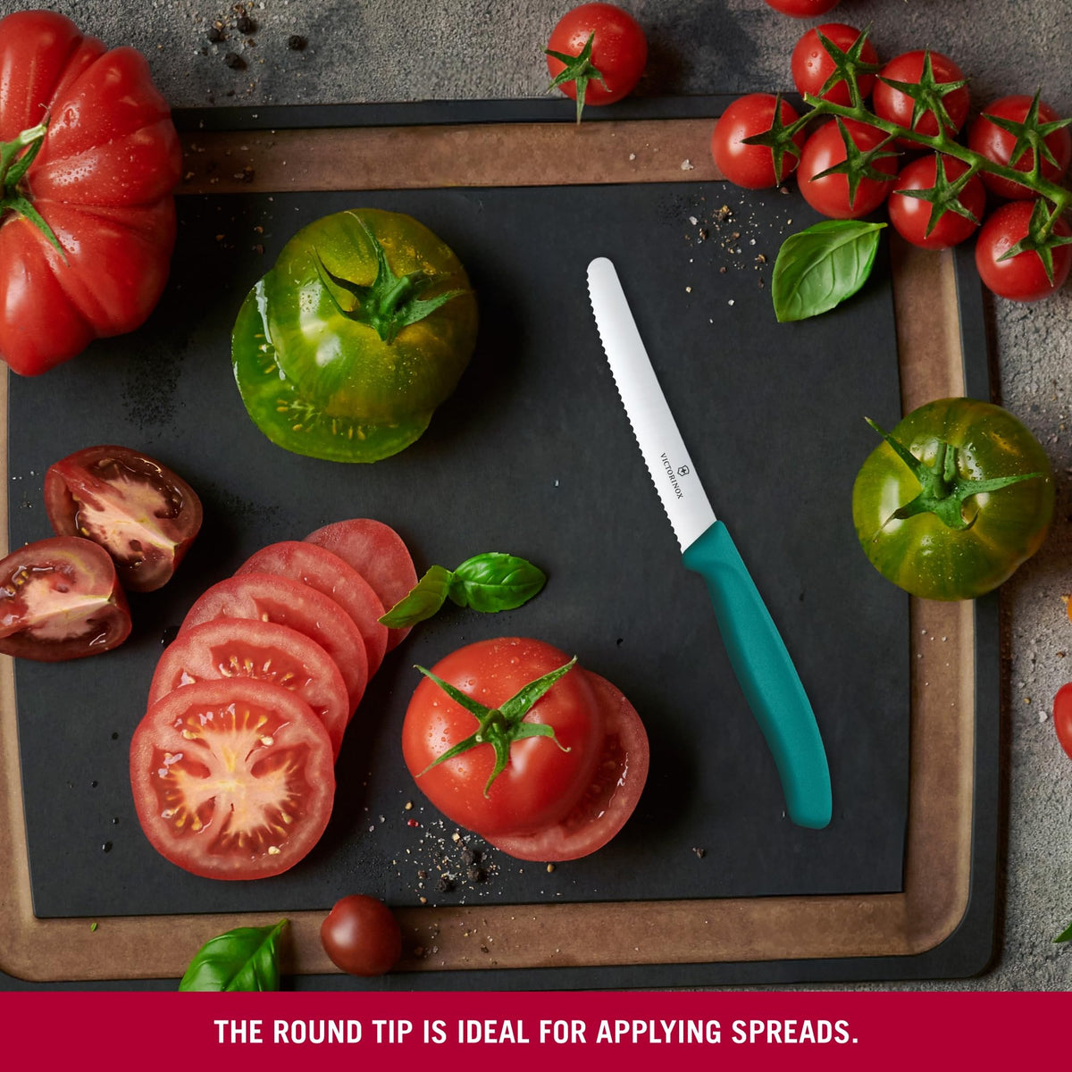Swiss Classic 4.5 in Tomato and Bread Knife by Victorinox – 4.3", stainless_steel, Green, Model 6.7834.C1