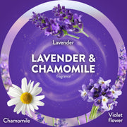 Air Wick 1.65 Fl Oz (Pack of 2) / 5 ct / Lavender & Chamomile Electric