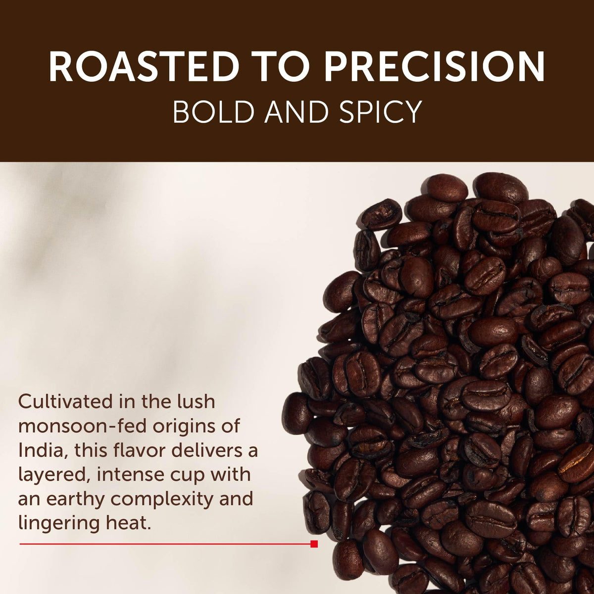 illy India Single Origin Dark Roast / 8.8 Ounce (Pack of 6) / Whole Bean Coffee