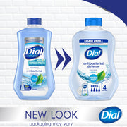 Dial 30 Fl Oz (Pack of 2) / Azul / 1 Hand Wash