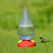 Dew Drop 32-Ounce Plastic Hummingbird Feeder by Perky-Pet – 4.63"L x 4.62"W x 10.22"H, 32 fluid_ounces, Plastic, Clear