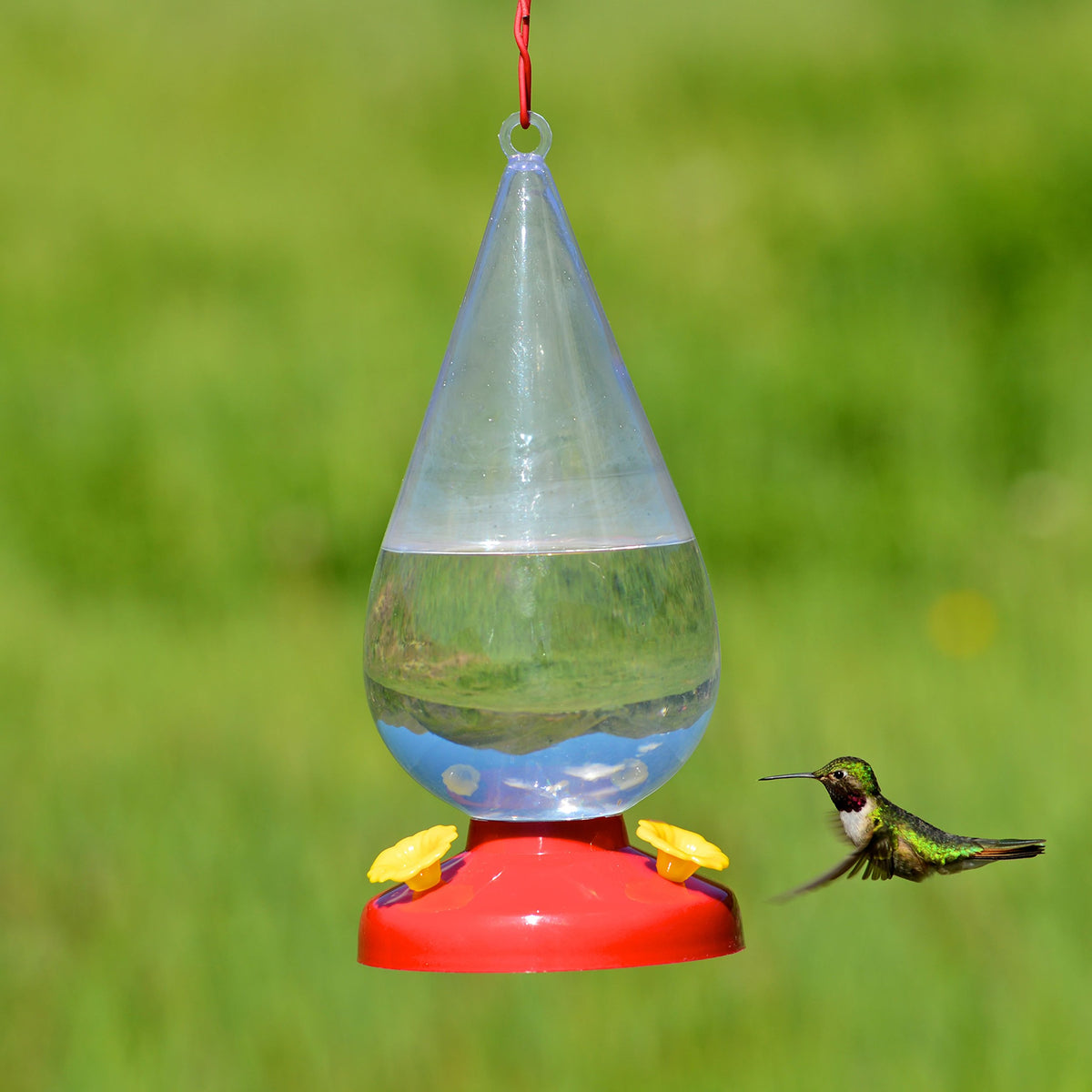 Dew Drop 32-Ounce Plastic Hummingbird Feeder by Perky-Pet – 4.63"L x 4.62"W x 10.22"H, 32 fluid_ounces, Plastic, Clear