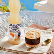Latte di Mandorla / Mandelmilch Sirup by Fabbri – 560ml, Model 8001780150031