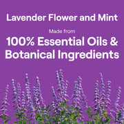 Seventh Generation Lavender / 50 Fl Oz (Pack of 3) / Lavender Refill Dish Soap