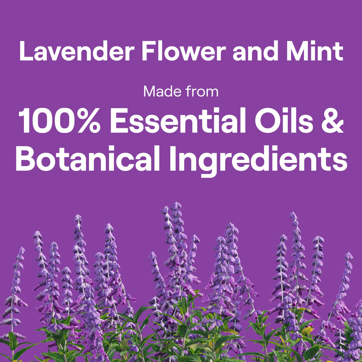 Seventh Generation Lavender / 50 Fl Oz (Pack of 3) / Lavender Refill Dish Soap