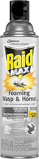 Raid Wasp and Hornet Killer Spray, Kills the entire nest, Kills Paper Wasps, Yellow Jackets, Mud Daubers and more, 13 oz