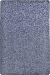 Joy Carpets Endurance Solid Colored Area Rug in Color Glacier Blue, 4' x 6'