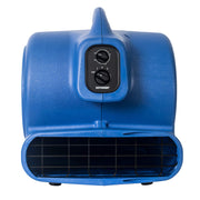 XPOWER Medium / Pro X-800TF / Blue Floor Fans
