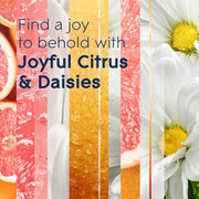 Glade Joyful Citrus & Daisies / 6.2 Fl Oz (Pack of 3) / Pink Spray
