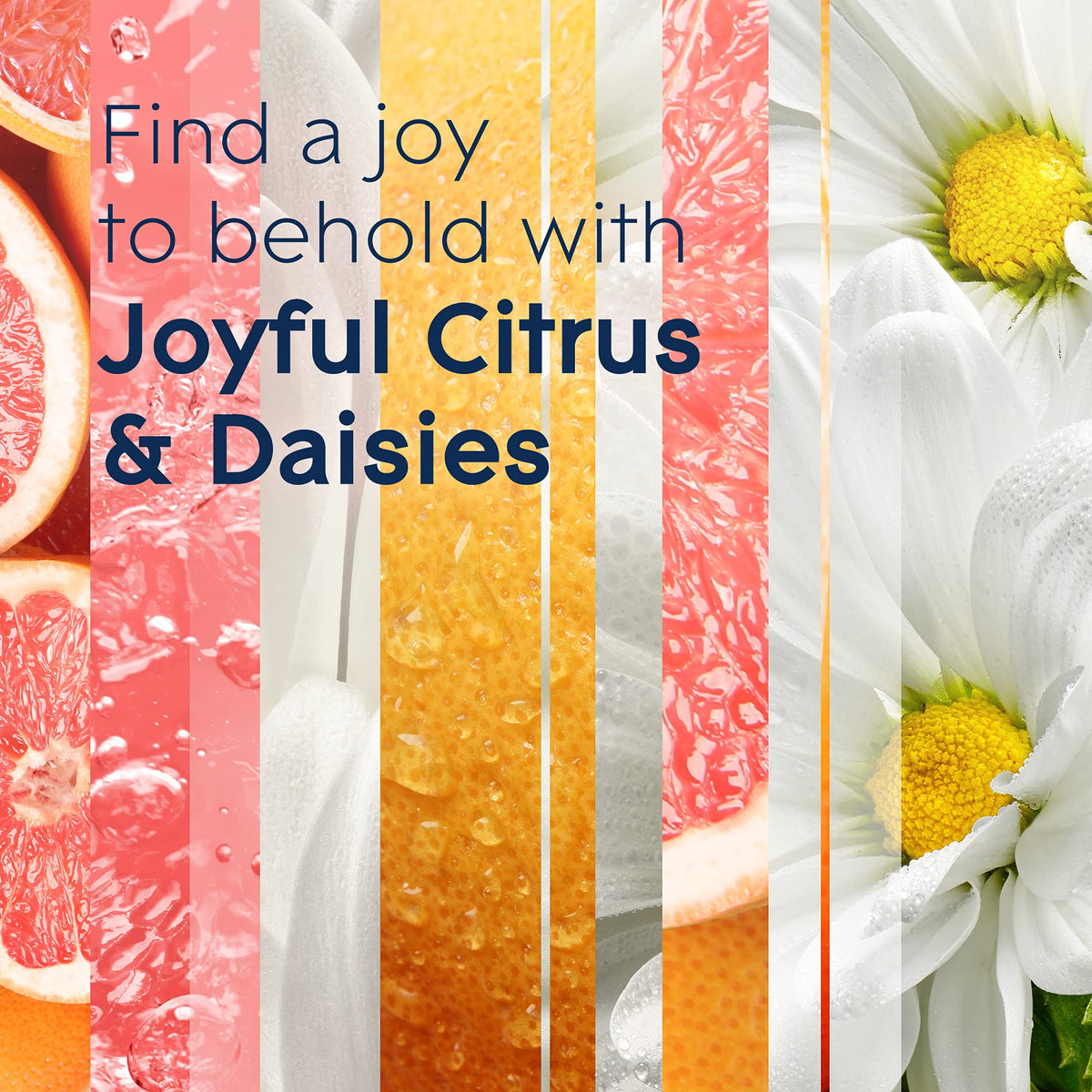 Glade Joyful Citrus & Daisies / 6.2 Fl Oz (Pack of 3) / Pink Spray