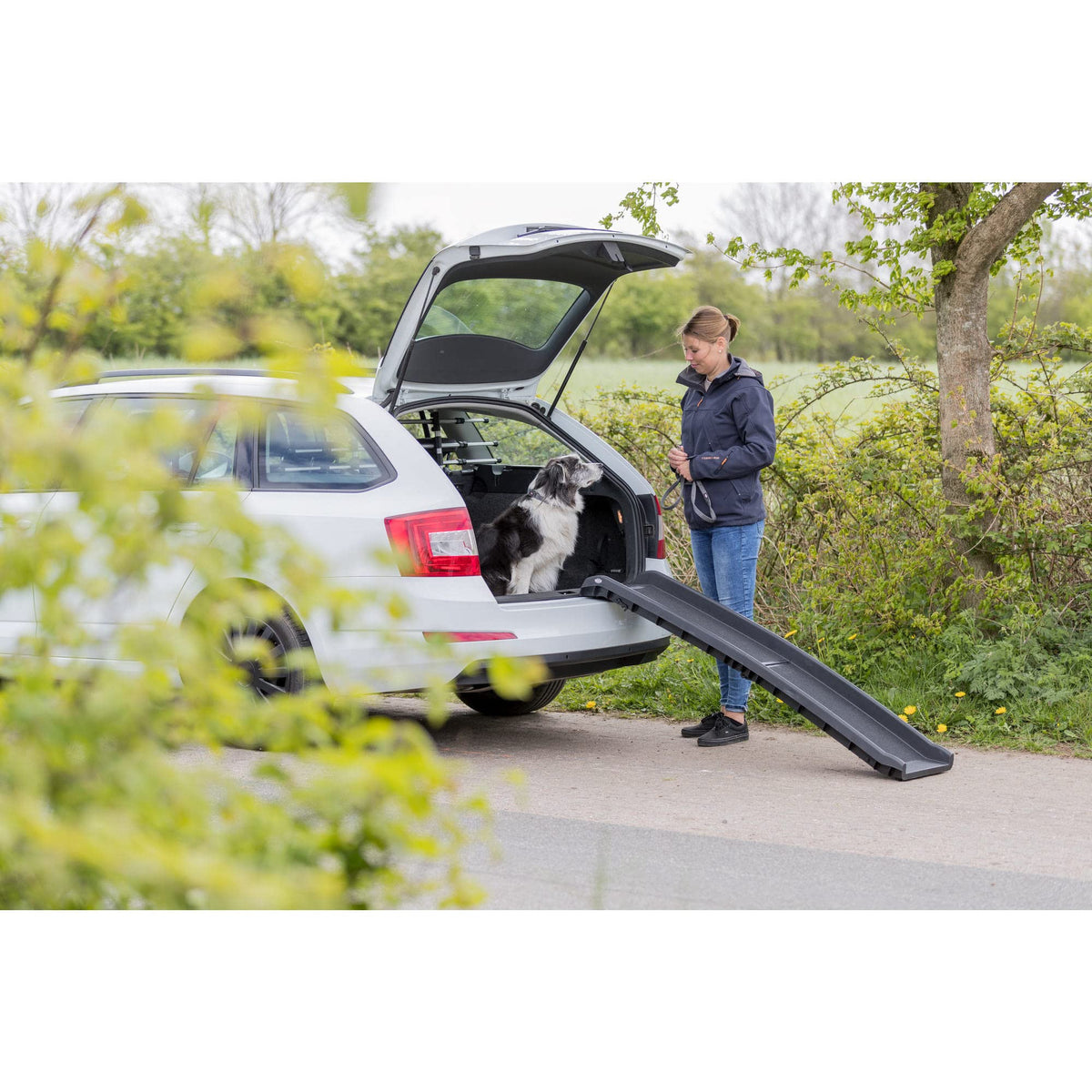 TRIXIE Bi-fold Ramp / 61" Long / 1 Vehicle Ramps