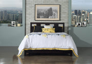 Solid Wood 2-Side Storage Bed by Modus Furniture – King, Wood, Riva - Espresso, Model RV23D7