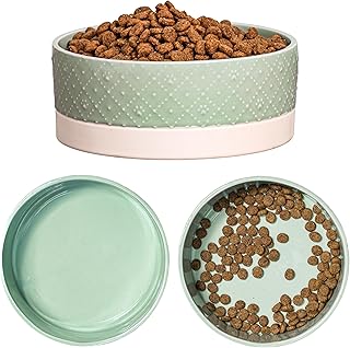 10 Strawberry Street Clermont Paw Embossed Pet Dish, Sage, Set of 2, Large