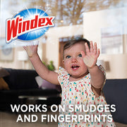 Glass and Multi-Surface Cleaning Wipes by Windex – 1 Count (Pack of 28), Pack of 28