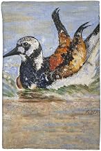 Beach Bird Bath Kitchen Towel - 16x25