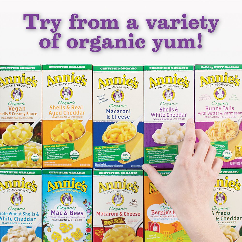 Annie's Homegrown Alfredo Cheddar Shells / 6 Ounce (Pack of 12) / 12 Macaroni & Cheese