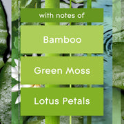 Glade Bamboo & Waterlily Bliss / 6.2 Fl Oz (Pack of 3) / Green Spray