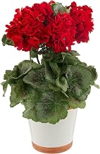 Nearly Natural Geranium Silk Plant