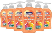 Softsoap Antibacterial Liquid Hand Soap, Crisp Clean Scent, 11.25 fl oz