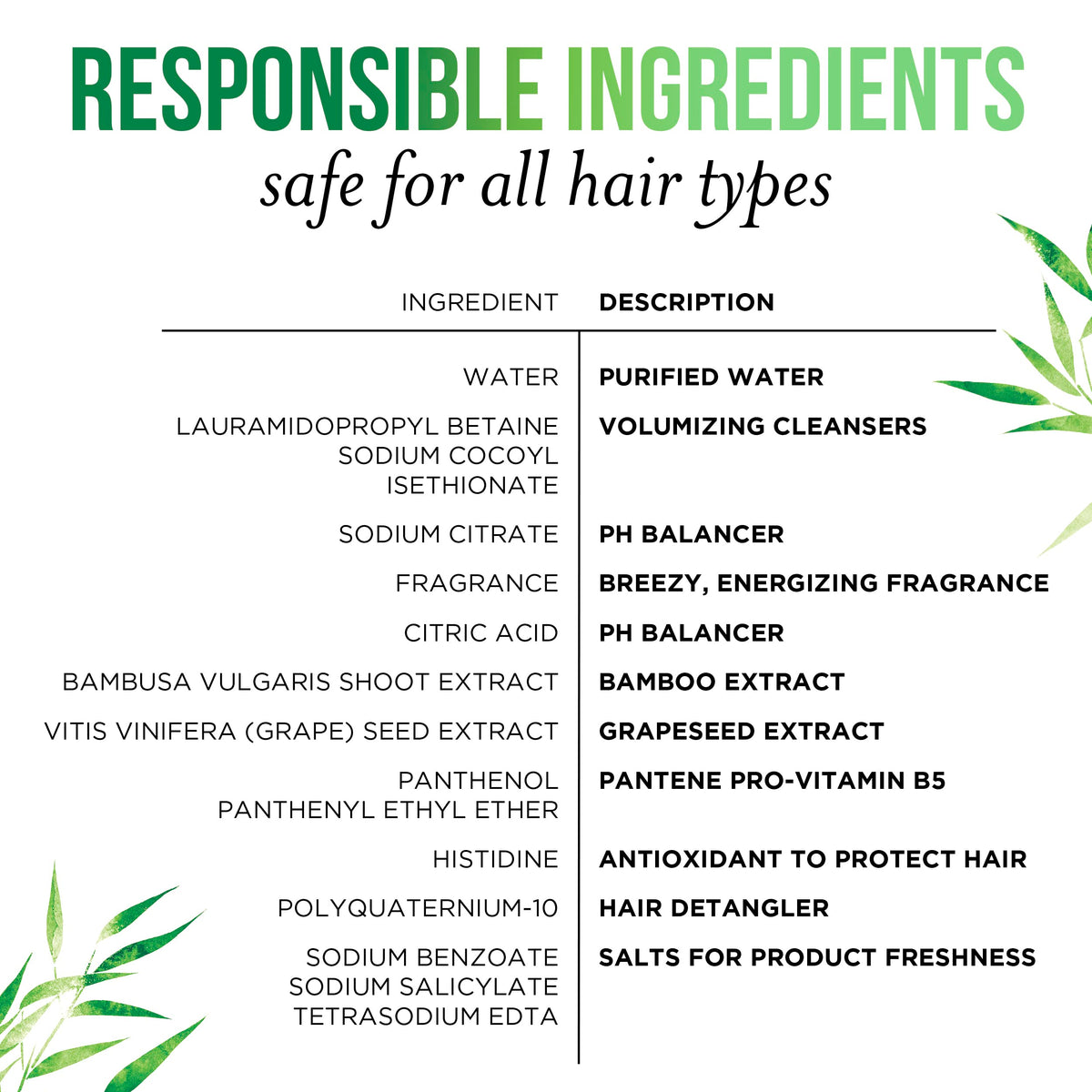 Pantene 9.6 Fl Oz (Pack of 1) / Bamboo / 1 Shampoos