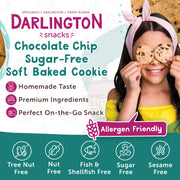Darlington Snacks Chocolate Chip (Sugar-Free) / 0.75 Ounce (Pack of 106) / 106 Chocolate