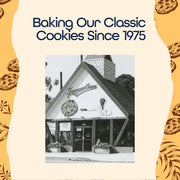 Classic Chocolate Chip Cookies by Famous Amos – 9 Ounce (Pack of 3), brown, Pack of 3, Model 00076677057173