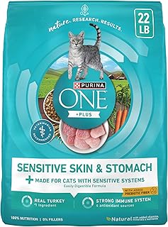 Purina ONE Sensitive Skin and Stomach Dry Cat Food 22 lb Bag