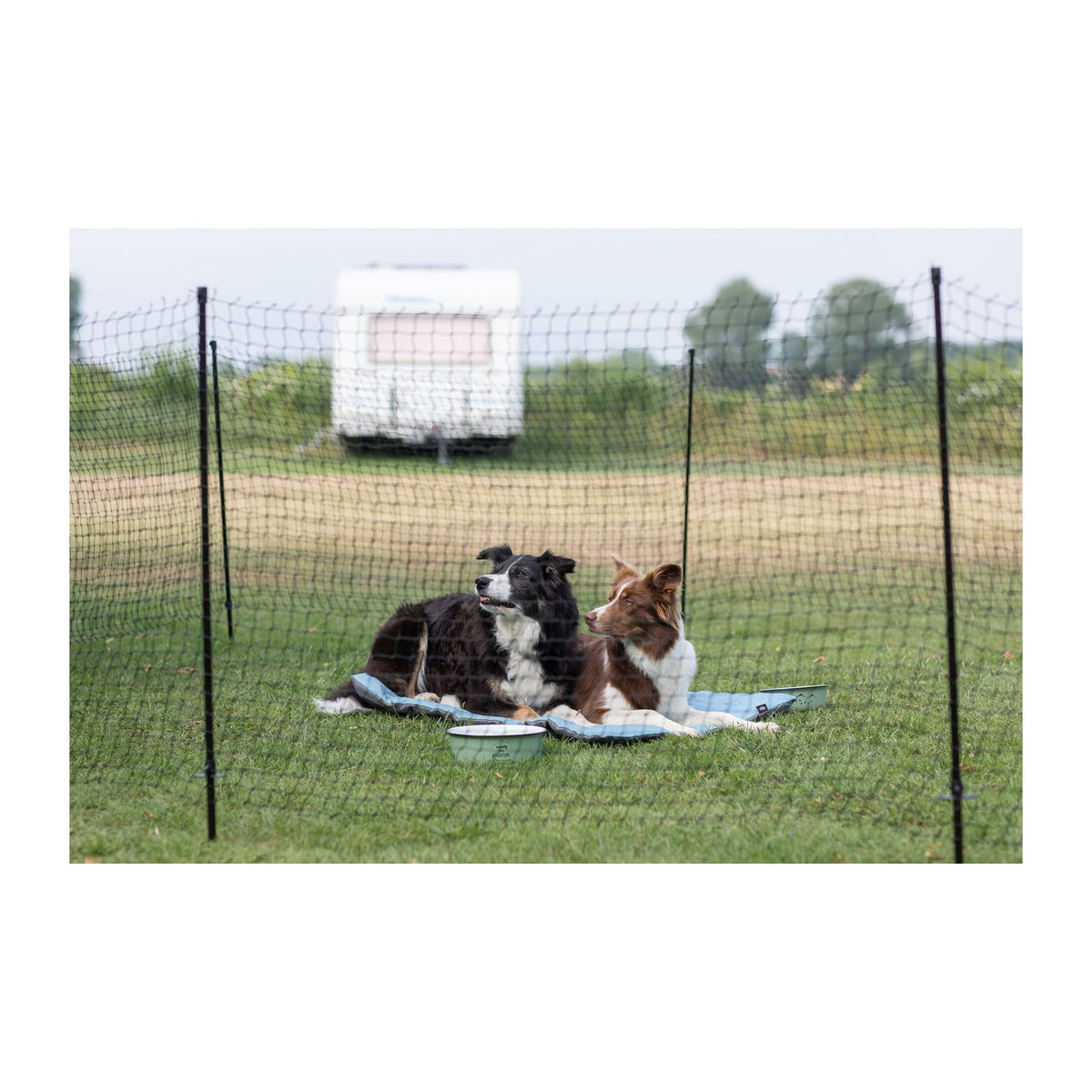 Portable Pet Fence by Trixie – Plastic, Black, Model 39539