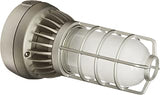 RAB Lighting VXLED26DG Cool LED Vaporproof Ceiling Mount with Frosted Globe and Die Cast Guard, Aluminum, 26W Power, 1955 Lumens, 277V, Natural