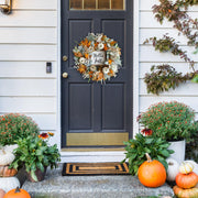 Cir Oases Fall Wreath, 20 Inch Diameter, Pumpkin Berry