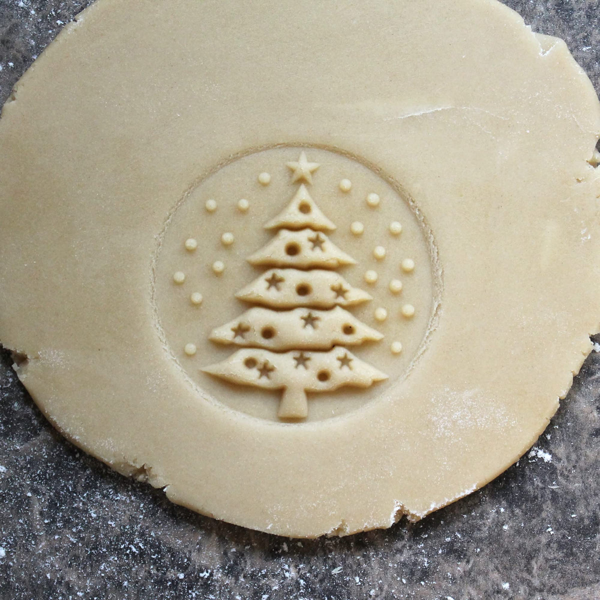 Fun Food Tools Cookie Stamp, 2.5 Inch Diameter, Christmas Tree