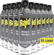 Raid Wasp and Hornet Killer (Pack - 10)