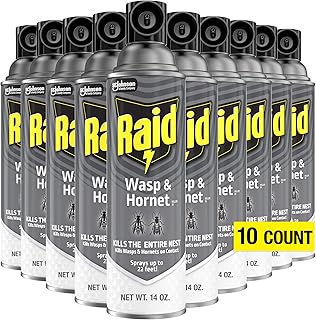 Raid Wasp and Hornet Killer (Pack - 10)