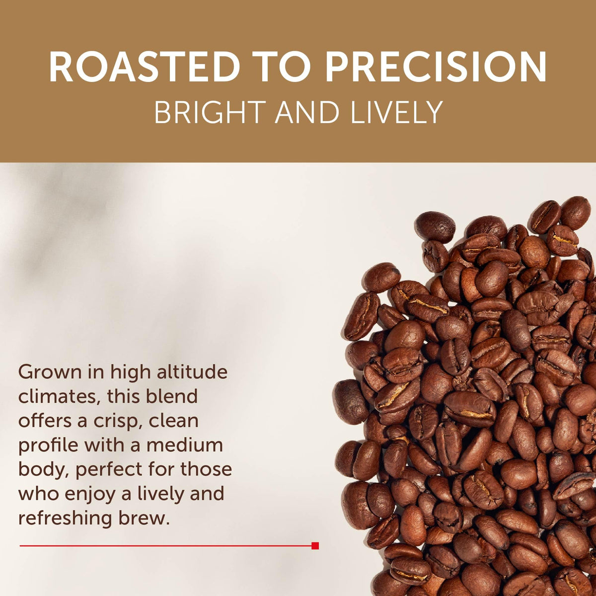 illy Costa Rica Single Origin Medium Roast / 8.8 Ounce (Pack of 6) / Whole Bean Coffee